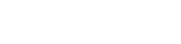 5 stars review for expert craftsmanship